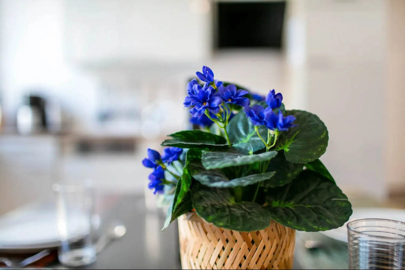 Central Berlin Stay 4BR Sleeps 15 - Jasmin