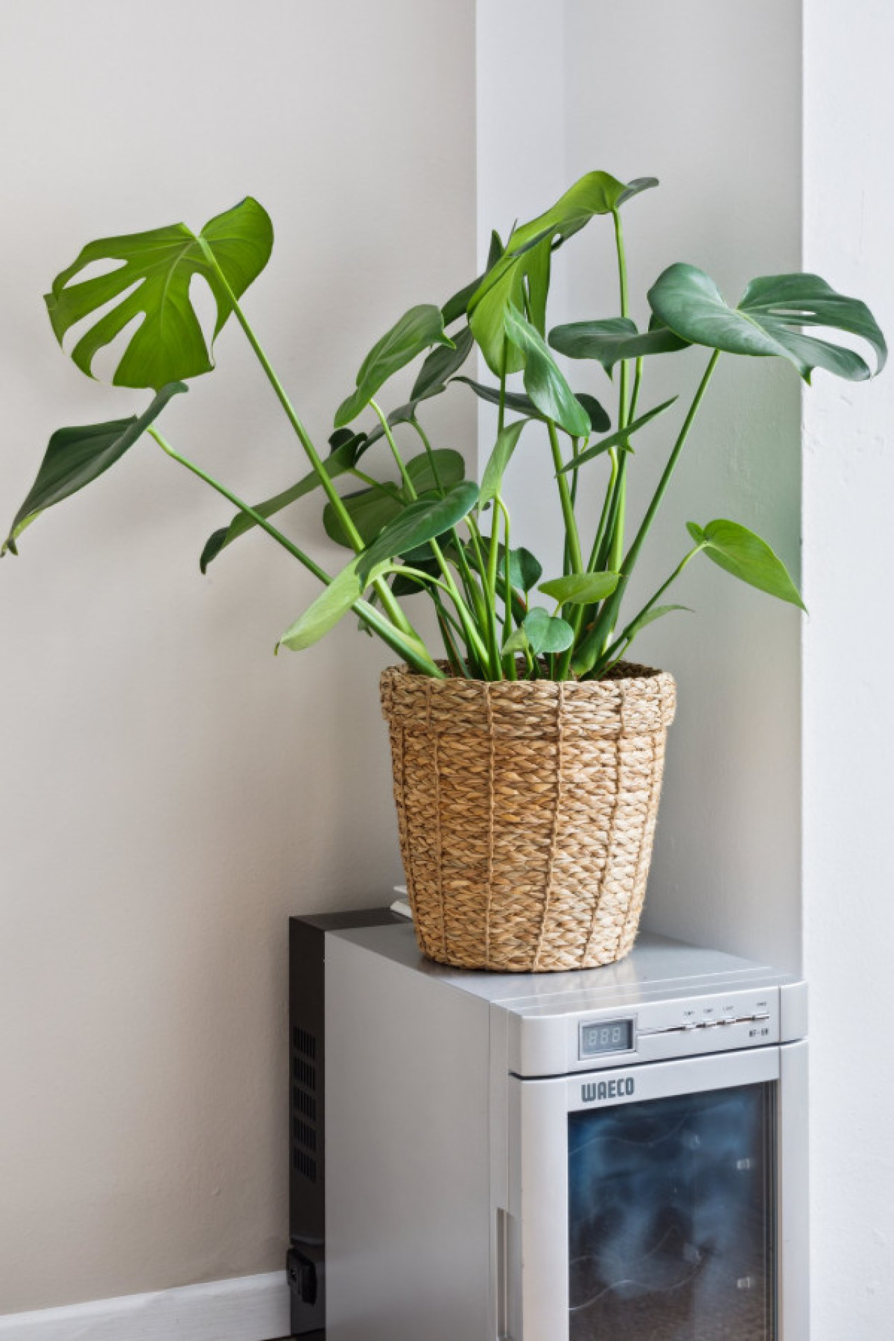 Arbio I 1A Family room in Prenzlauerberg — photo 14 of 21